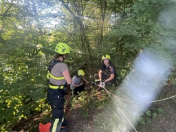 ERHT Kind in Baum und Leiterrutsche