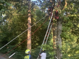 ERHT Kind in Baum und Leiterrutsche